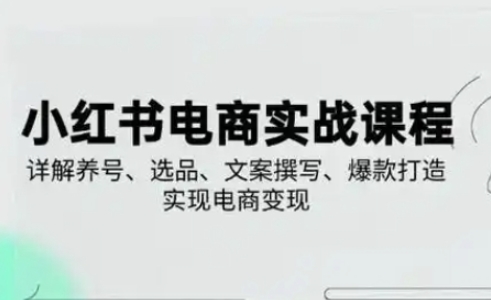 小红书从0-1实操课(2023-2025)，详解养号、选品、文案撰写、爆款打造实现电商变现-知源网创