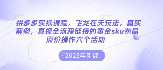 拼多多实操课程，飞龙在天玩法，真实案例，直播全流程链接的黄金sku布局原价操作六个活动-知源网创