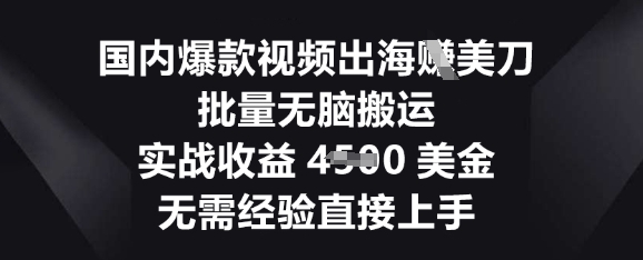 国内爆款视频出海挣美刀，批量无脑搬运，实战收益4.5k，无需经验直接上手-知源网创