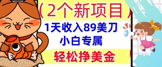 2个新项目，轻松挣美金， 1天收入89美刀，小白专属，干货分享-知源网创