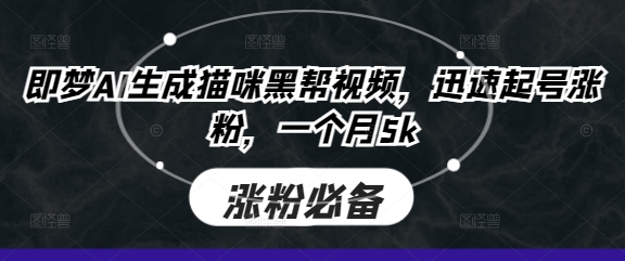 即梦AI生成猫咪黑帮视频，迅速起号涨粉，一个月5k-知源网创