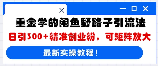 重金学的闲鱼野路子引流法，日引300+精准创业粉，可矩阵放大-知源网创