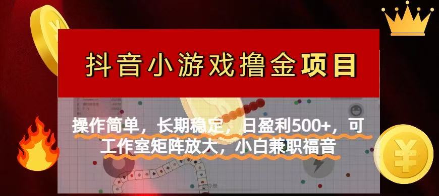 （14290期）【抖音小游戏发行人计划项目】操作简单，长期稳定，日盈利500+，可工作...-知源网创