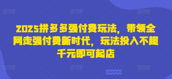 2025拼多多强付费玩法,带领全网走强付费新时代,玩法投入不超千元即可起店-知源网创