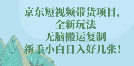 京东短视频带货项目，全新玩法，无脑搬运复制，新手小白日入好几张!-知源网创