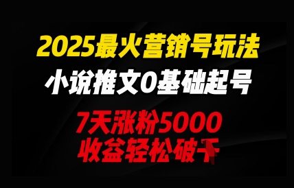 2025最火营销号玩法：小说推文0基础起号，7天涨粉5000，收益轻松破k-知源网创