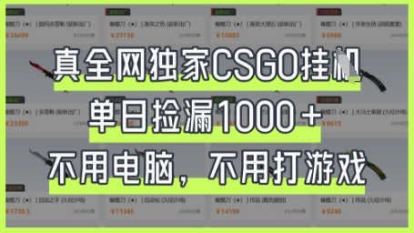 真全网独家CSGO挂G，单日捡漏1k+【揭秘】-知源网创