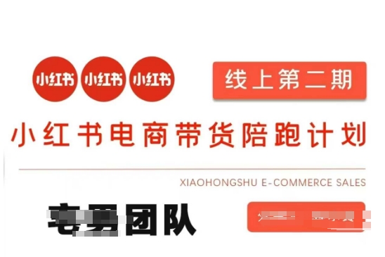 小红书电商带货课2期，月利润20个的小红书电商的有货源，无货源，虚拟产品，付费投流等整套玩法-知源网创