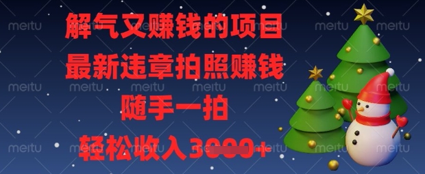 解气又挣钱的项目，最新违章拍照挣钱，随手一拍，轻松收入数张【揭秘】-知源网创
